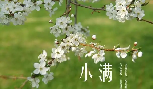 5-240515154U50-L.png