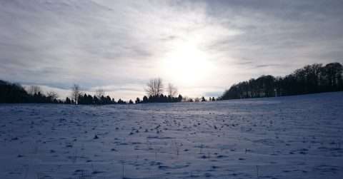 5a5c46e72f46a.jpg