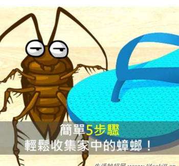 zzl_clip_image002.jpg