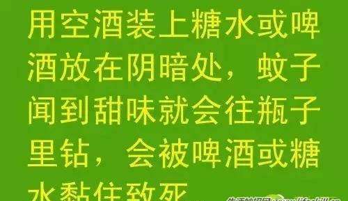 wz_clip_image001.jpg