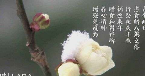 5a563f1cbd0d8.jpg